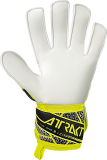 Reusch Attrakt Solid 5570515 2014 2014 back